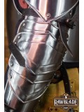 Gawain Complete Arm Protection